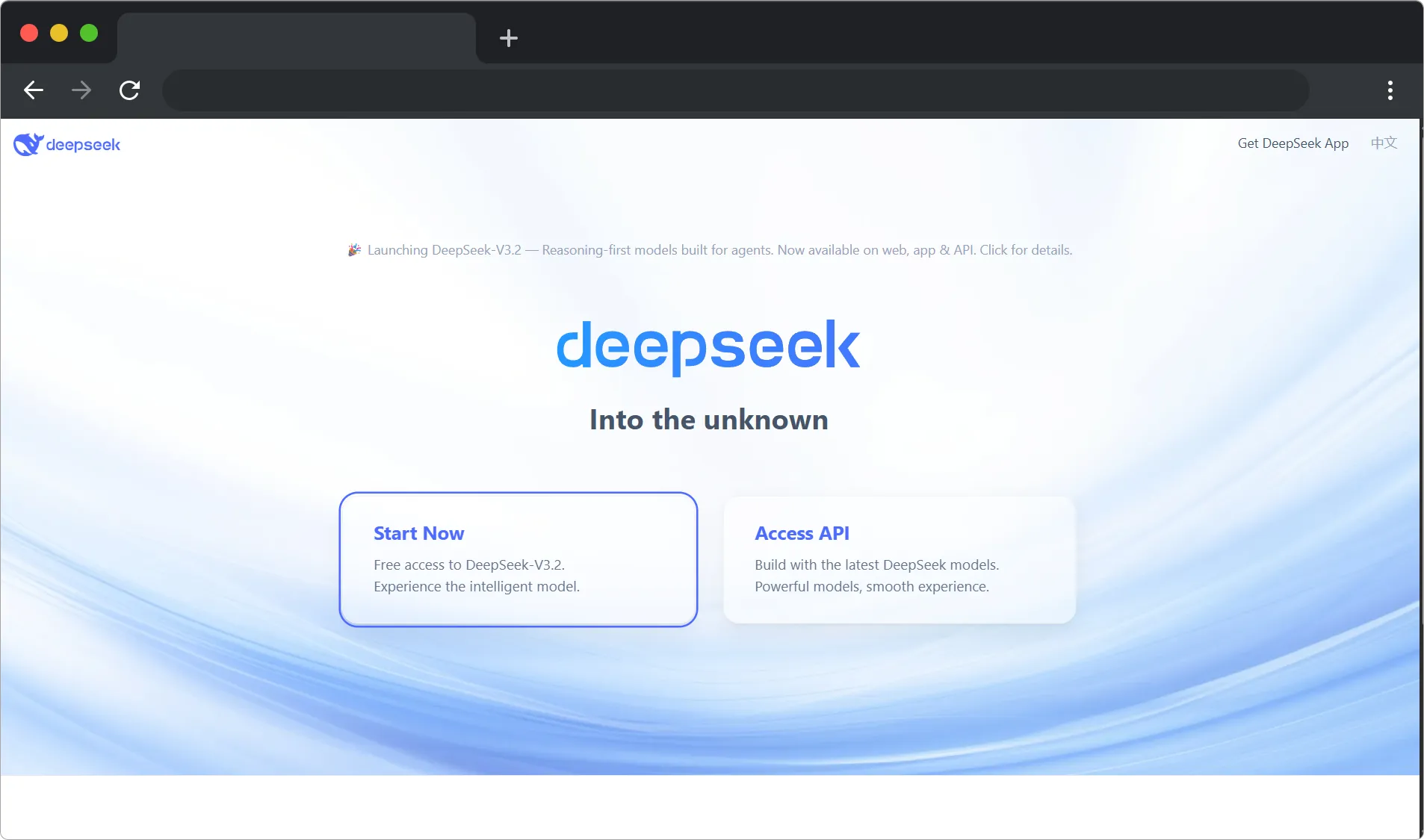 5. DeepSeek
